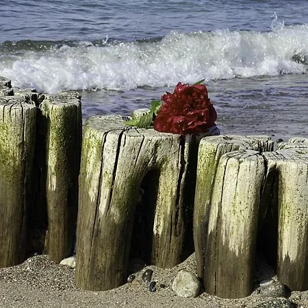 Ostseeruhe Börgerende-Rethwisch