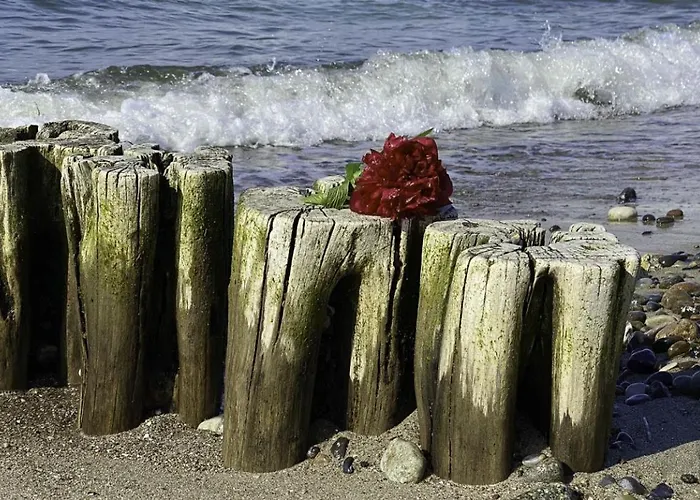 Ostseeruhe Börgerende-Rethwisch